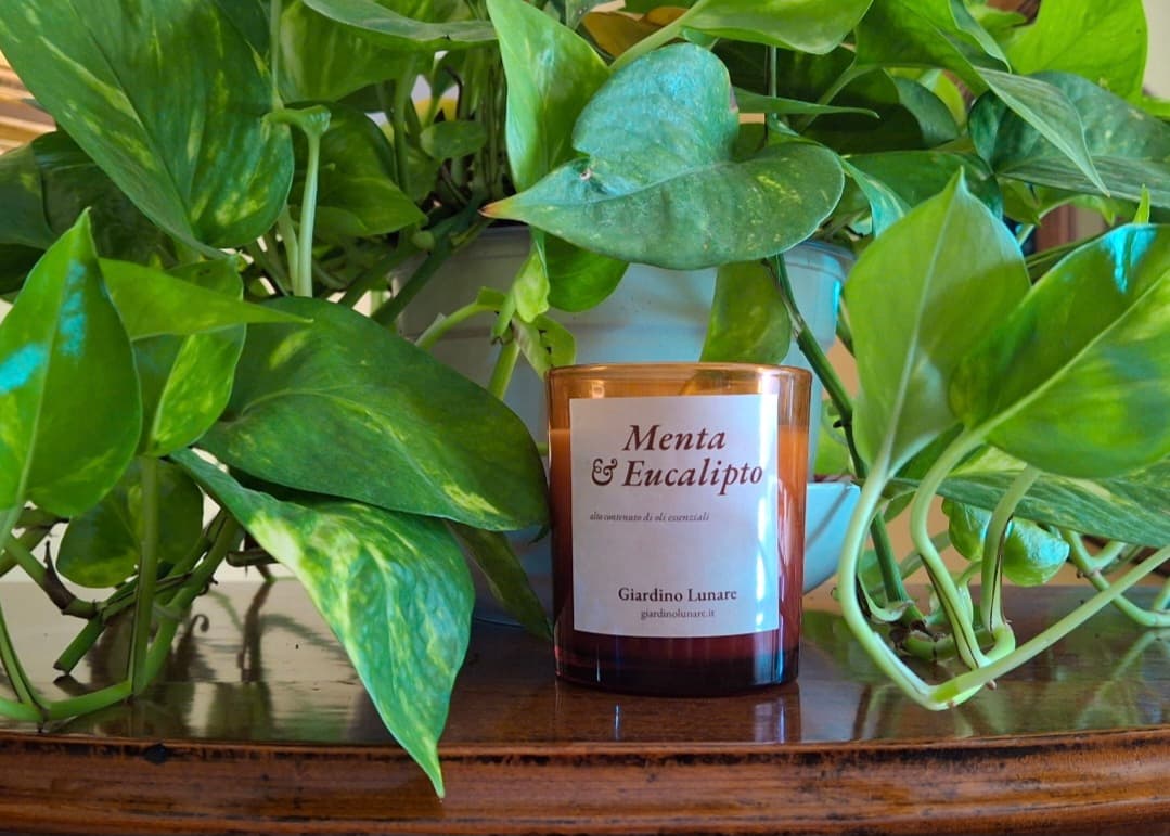 Candela artigianale menta eucalipto con oli essenziali in cera di soia naturale vegan, Giardino Lunare